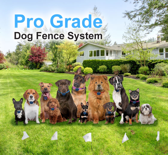 Pro Grade Dog Fence System