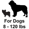 For dogs 8 - 120 lbs.