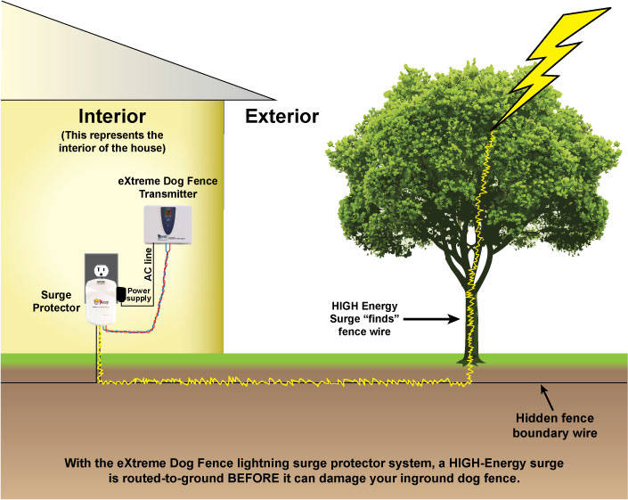 Extreme Dog Fence Lightning Surge, How To Ground Electric Dog Fence