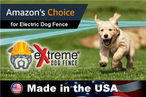 Amazon's choice for Electric Dog Fence