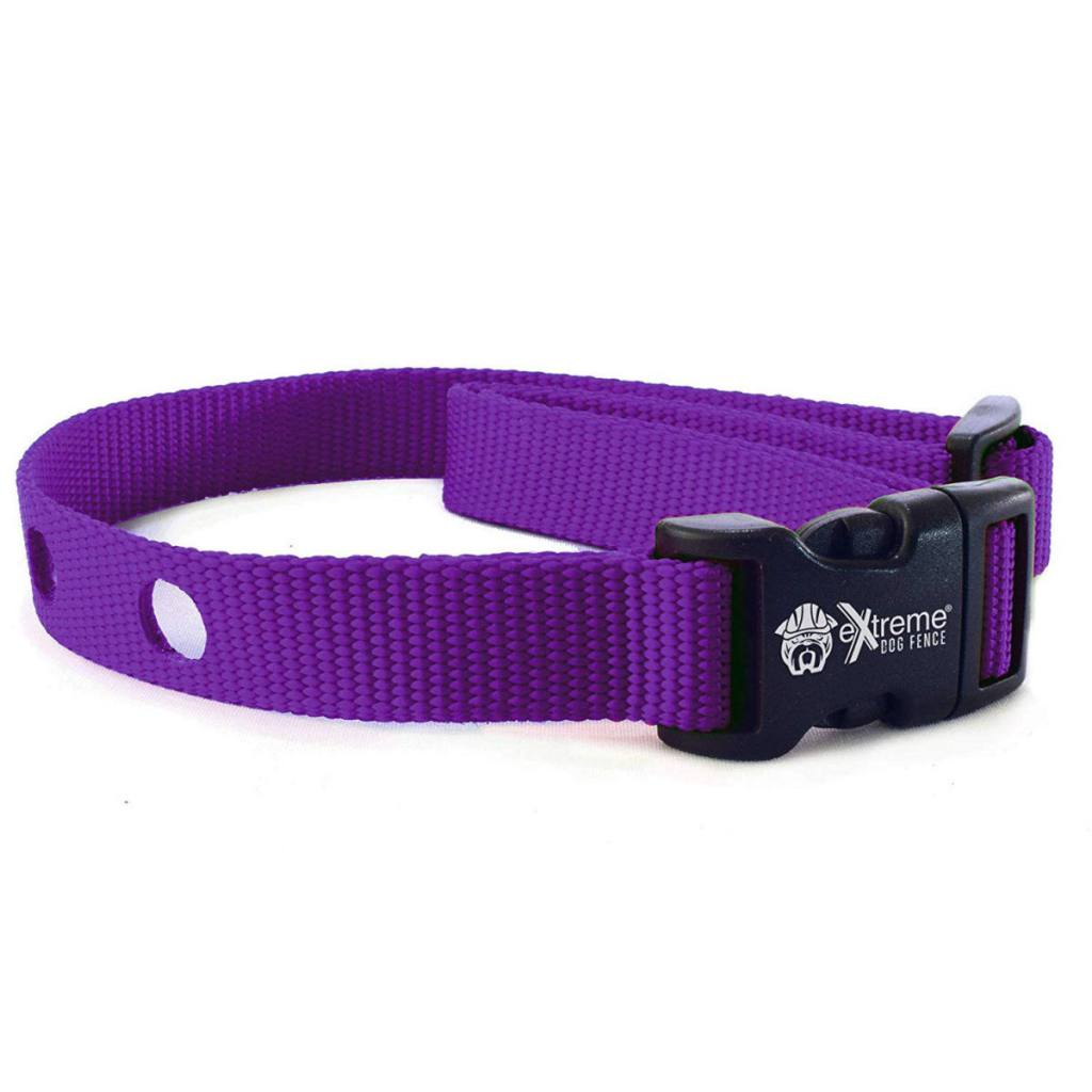 Collar Strap - Purple
