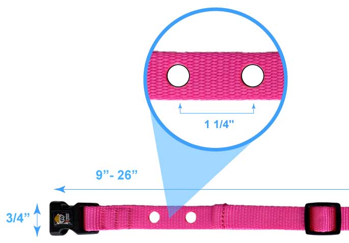 Solid Collar Strap Size