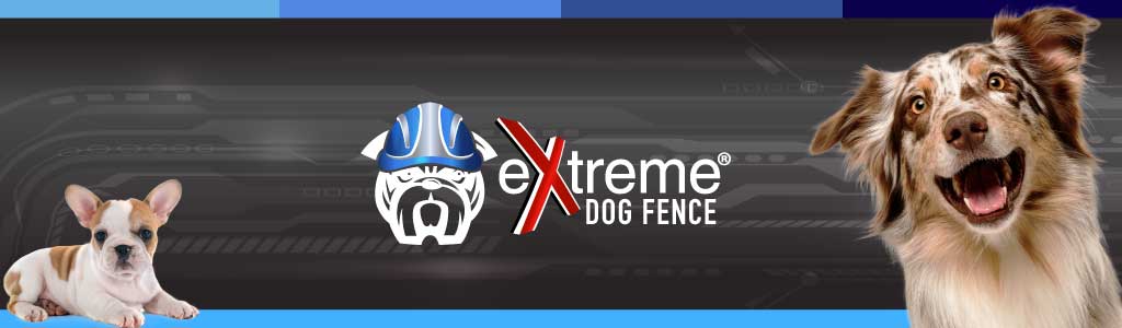Extreme Dog Fence Pro Grade System, Dog Fence Kit