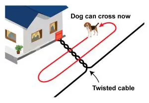 Dog Fence Planning Twisted Wire Extreme Electric 2021 Diy Kits