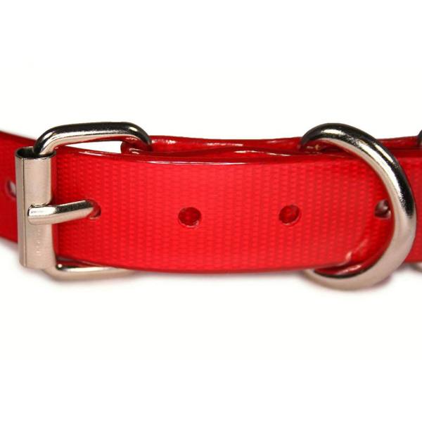 TPU Collar buckle Close-up