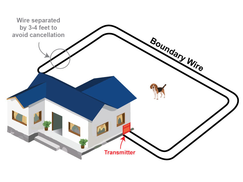 Backyard Only Dog Fence Layout The Double-Loop