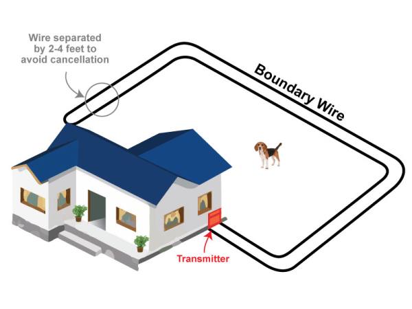 Backyard Only Dog Fence Layout The Double-Loop